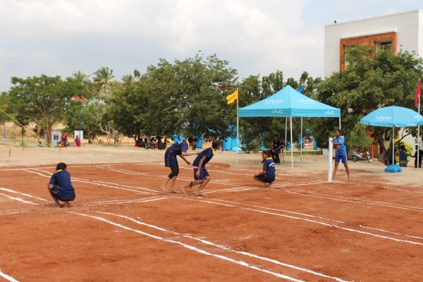 StudyWorld Activities